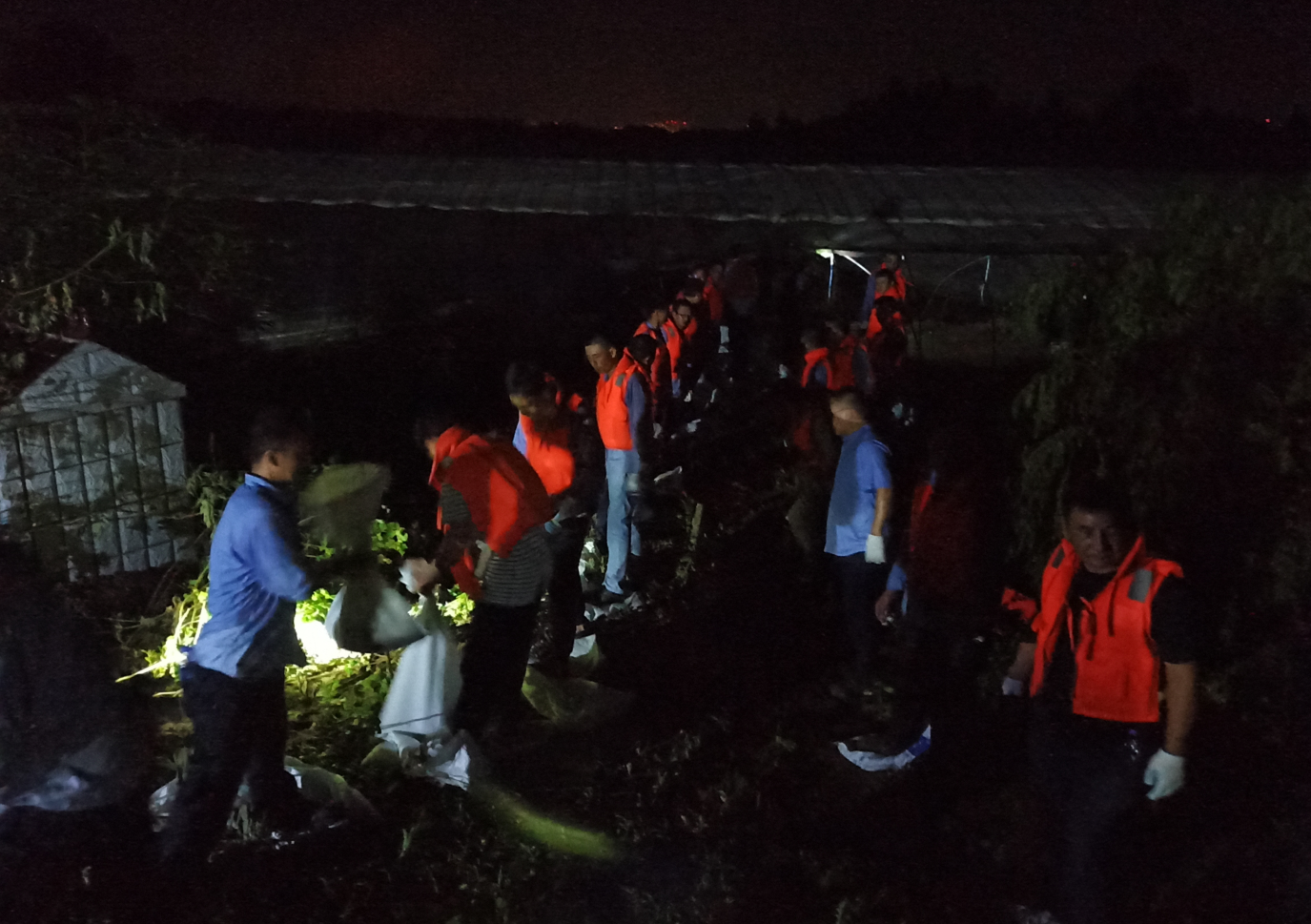 1595554227183204.png 1595554227183204.png